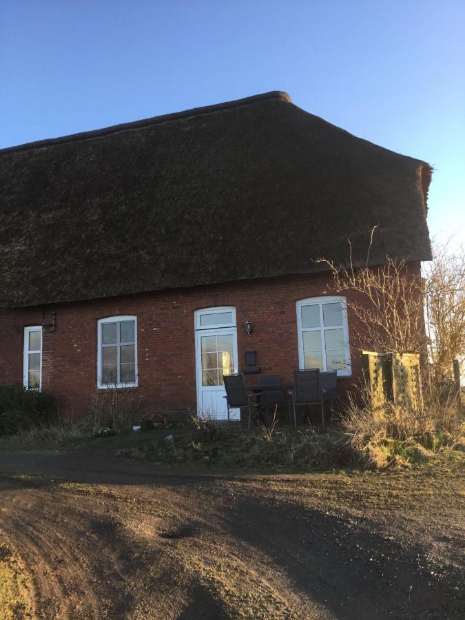 Ferienwohnung-Haus-Luetje-Wehr Hattstedtermarsch Exterior foto